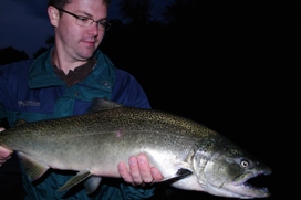 manistee salmon